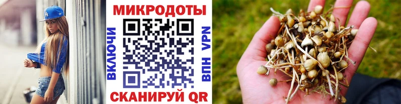 цены наркотик  Ульяновск  Галлюциногенные грибы Psilocybine cubensis 